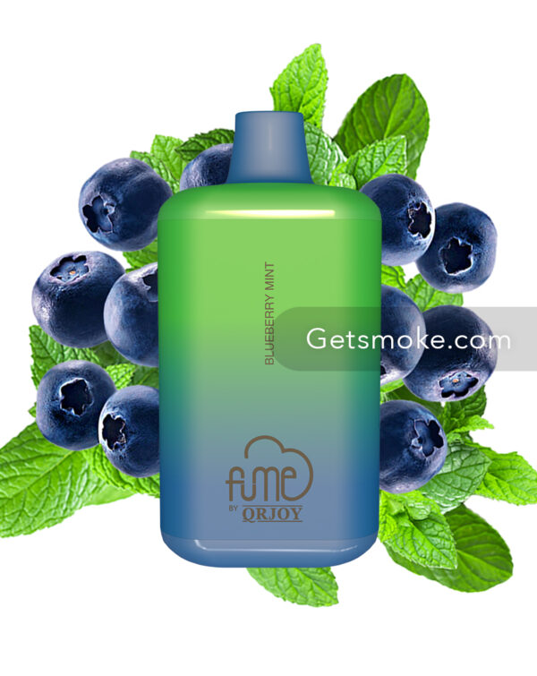 Blueberry Mint Fume Zero Recharge