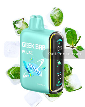 ⁠⁠IceyMintz Geek Bar