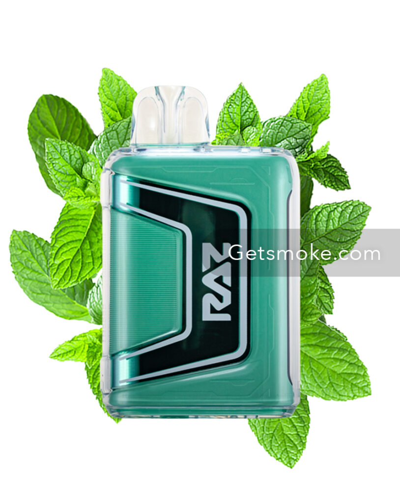 Miami Mint Geek Vape Raz TN9000